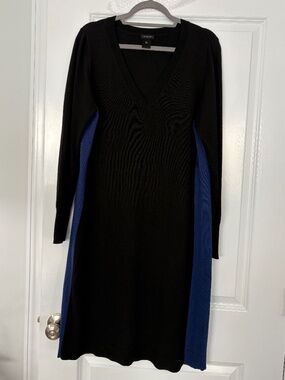 Ann Taylor V-Neck Long Sleeve Sweater Dress
